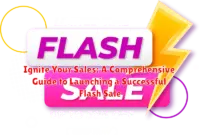 Ignite Your Sales: A Comprehensive Guide to Launching a Successful Flash Sale